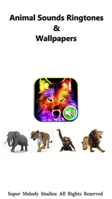 Animal Sounds Ringtones android App screenshot 9